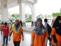 Tn DSC 6511